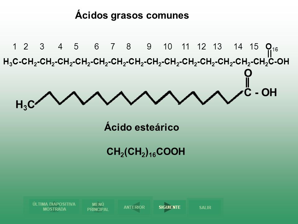O C - OH H3C Ácidos grasos comunes Ácido esteárico CH2(CH2)16COOH