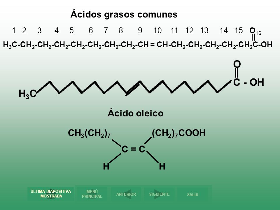 O C - OH H3C Ácidos grasos comunes Ácido oleico CH3(CH2)7 (CH2)7COOH