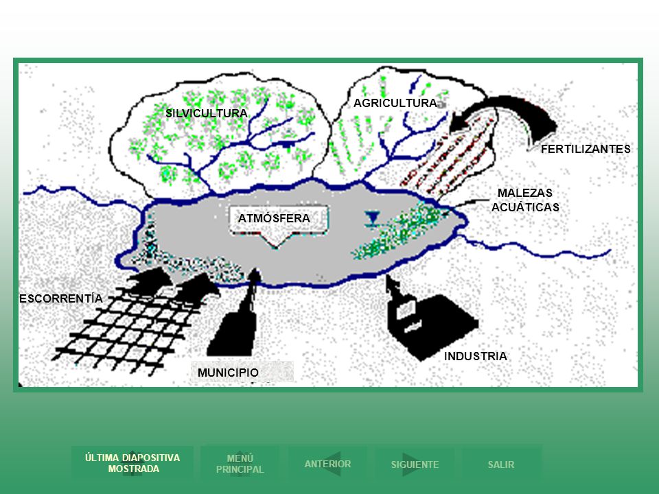 AGRICULTURA SILVICULTURA FERTILIZANTES MALEZAS ACUÁTICAS ATMÓSFERA ESCORRENTÍA INDUSTRIA MUNICIPIO