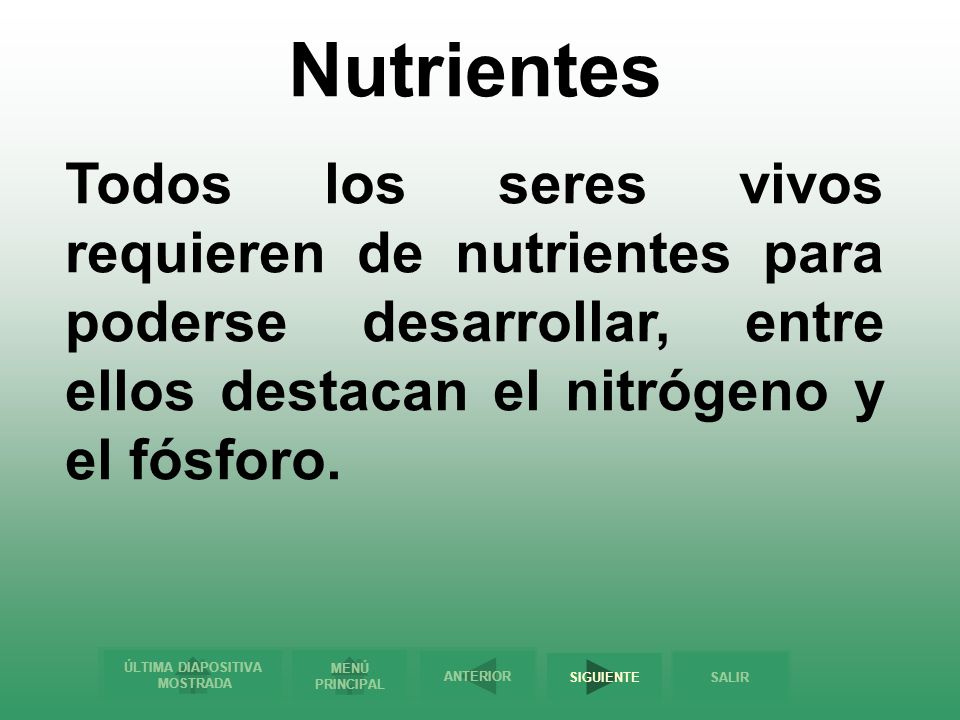 Nutrientes Todos los seres vivos requieren de nutrientes para poderse desarrollar, entre ellos destacan el nitrógeno y el fósforo.