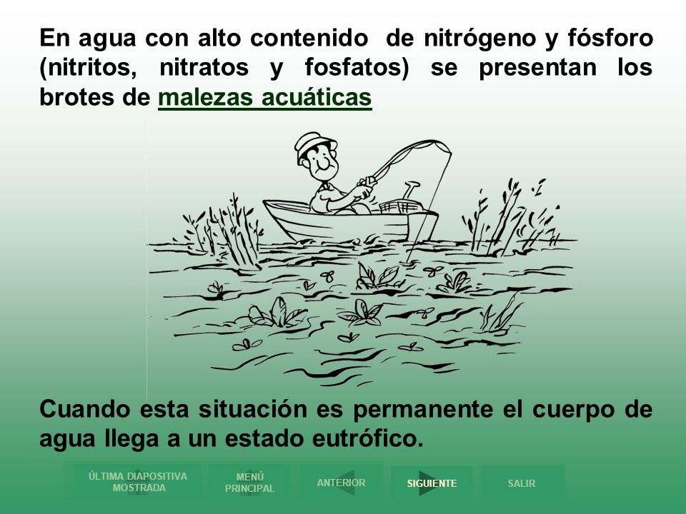 En agua con alto contenido de nitrógeno y fósforo (nitritos, nitratos y fosfatos) se presentan los brotes de malezas acuáticas