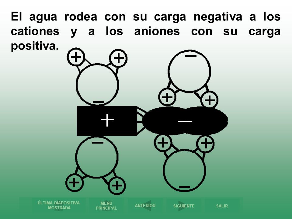 El agua rodea con su carga negativa a los cationes y a los aniones con su carga positiva.