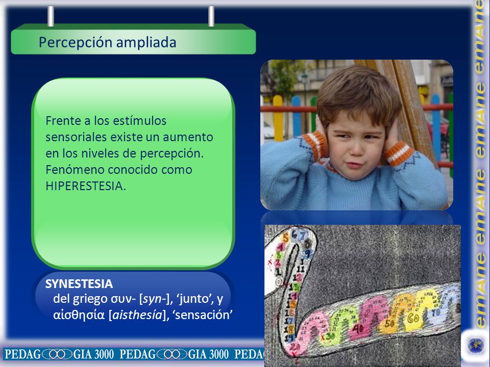 Percepción ampliada Frente a los estímulos sensoriales existe un aumento en los niveles de percepción.