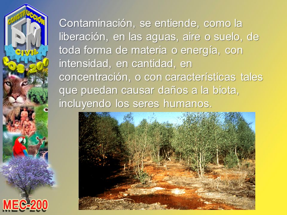 Contaminación, se entiende, como la liberación, en las aguas, aire o suelo, de toda forma de materia o energía, con intensidad, en cantidad, en concentración, o con características tales que puedan causar daños a la biota, incluyendo los seres humanos.
