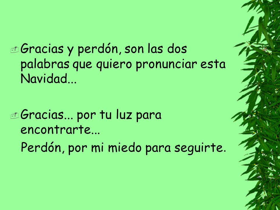Gracias y perdón, son las dos palabras que quiero pronunciar esta Navidad...