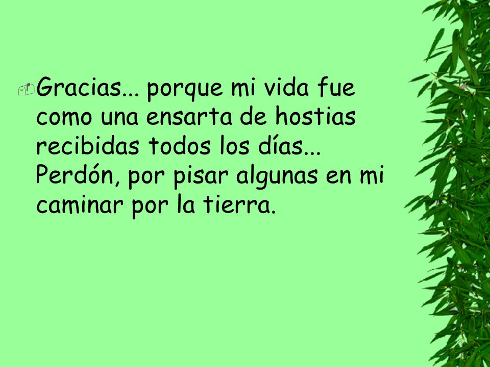 Gracias... porque mi vida fue como una ensarta de hostias recibidas todos los días...