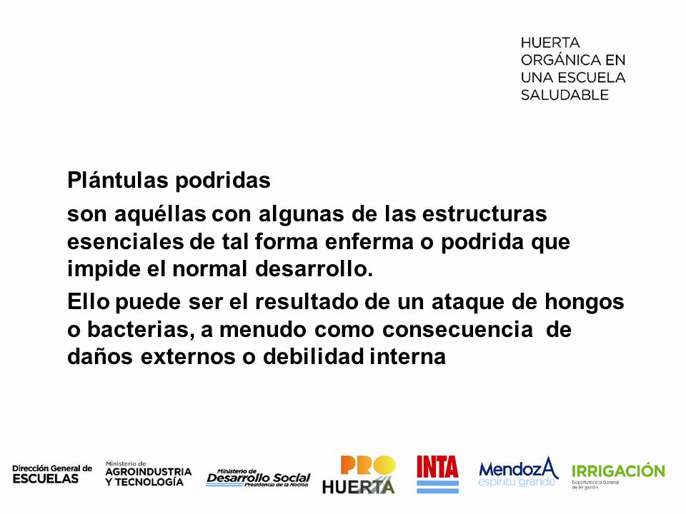 Plántulas podridas son aquéllas con algunas de las estructuras esenciales de tal forma enferma o podrida que impide el normal desarrollo.