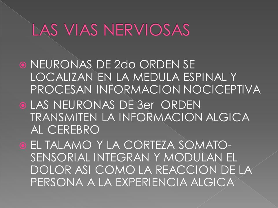 LAS VIAS NERVIOSAS NEURONAS DE 2do ORDEN SE LOCALIZAN EN LA MEDULA ESPINAL Y PROCESAN INFORMACION NOCICEPTIVA.