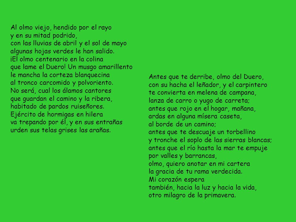 Al olmo viejo, hendido por el rayo y en su mitad podrido, con las lluvias de abril y el sol de mayo algunas hojas verdes le han salido. ¡El olmo centenario en la colina que lame el Duero! Un musgo amarillento le mancha la corteza blanquecina al tronco carcomido y polvoriento. No será, cual los álamos cantores que guardan el camino y la ribera, habitado de pardos ruiseñores. Ejército de hormigas en hilera va trepando por él, y en sus entrañas urden sus telas grises las arañas.