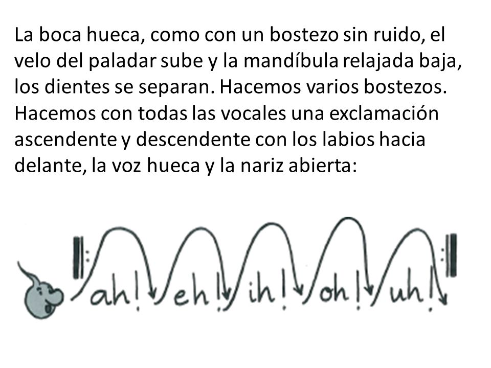 La boca hueca, como con un bostezo sin ruido, el velo del paladar sube y la mandíbula relajada baja, los dientes se separan.