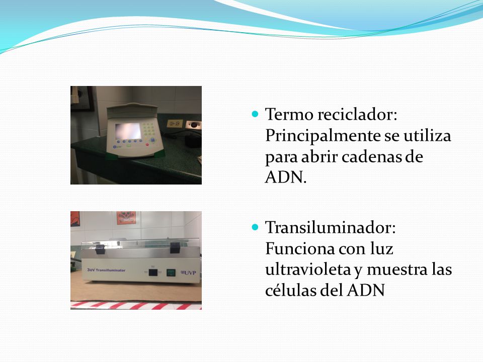 Termo reciclador: Principalmente se utiliza para abrir cadenas de ADN.