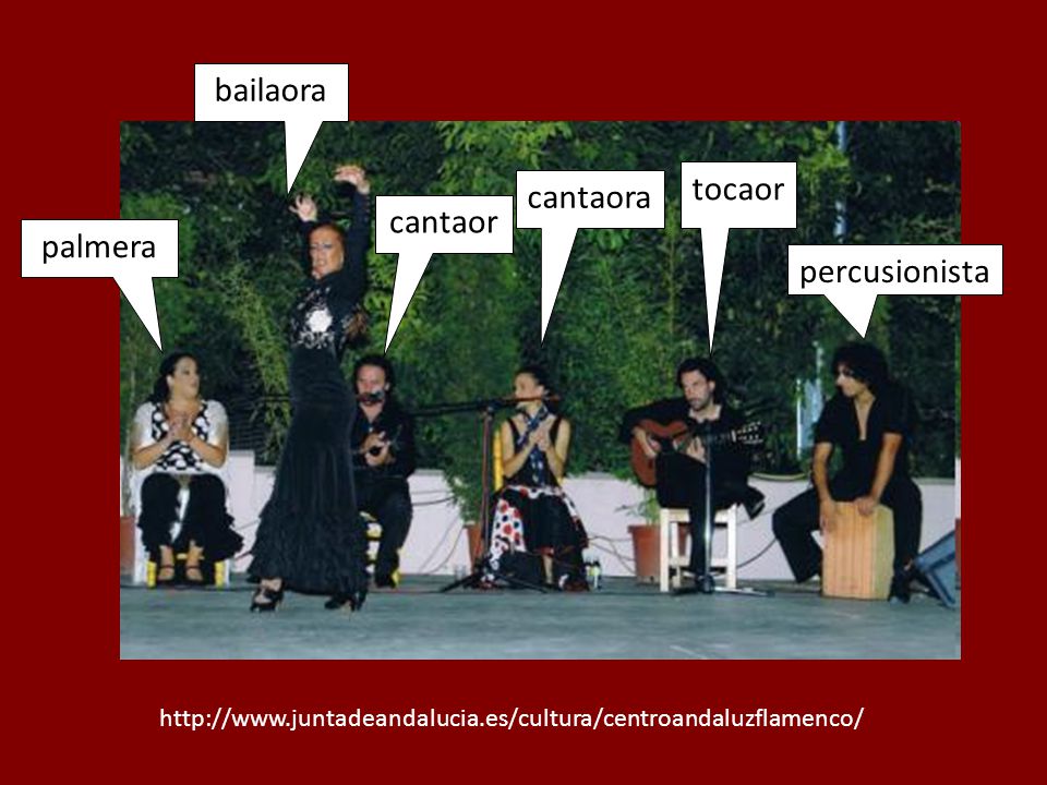bailaora tocaor cantaora cantaor palmera percusionista