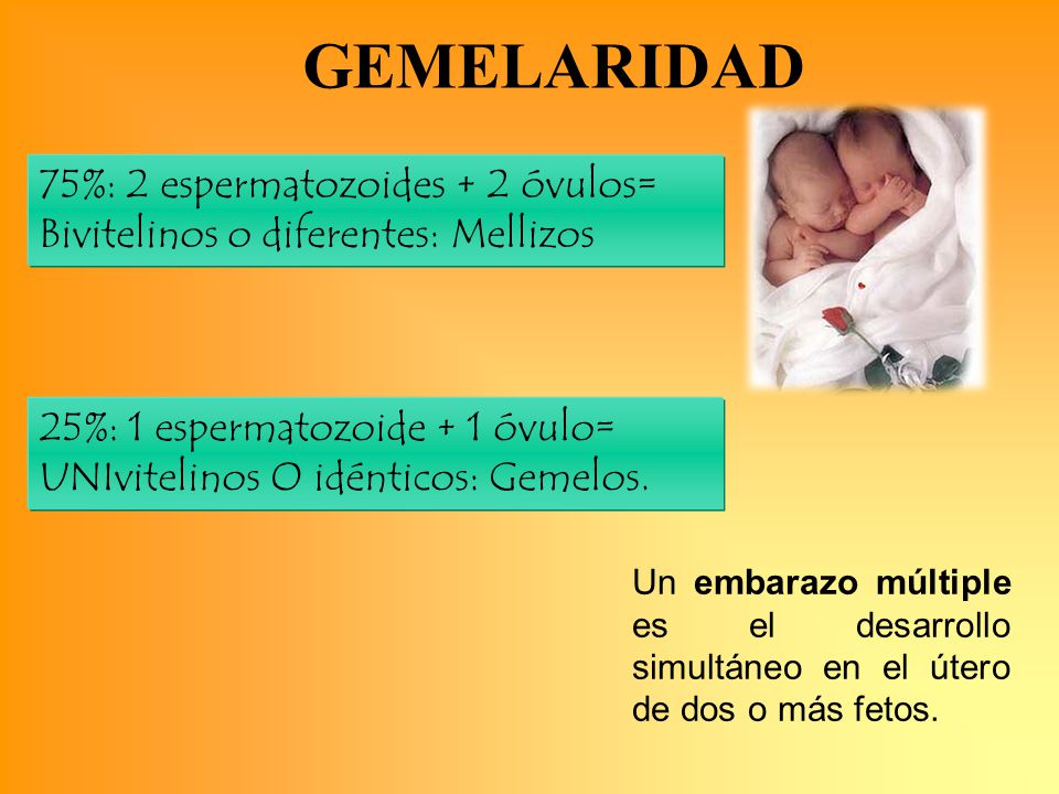 GEMELARIDAD 75%: 2 espermatozoides + 2 óvulos= Bivitelinos o diferentes: Mellizos.