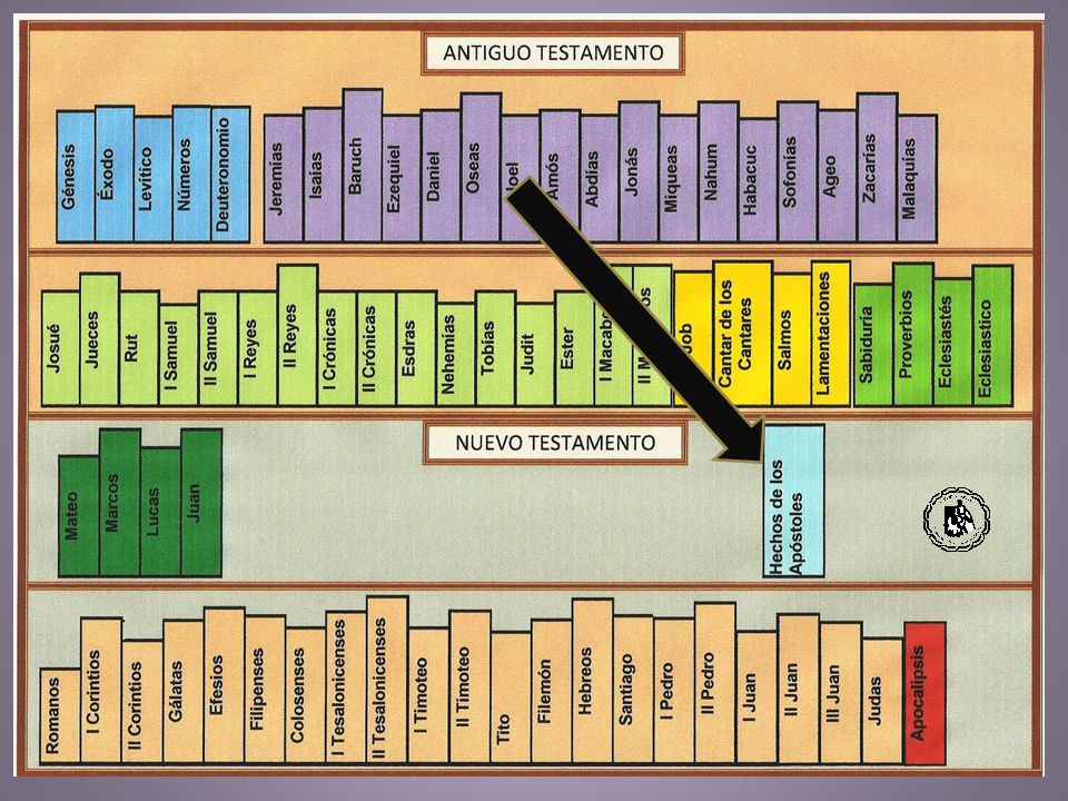 Después de los cuatro Evangelios, está el libro de los Hechos de los Apóstoles, que nos relata lo sucedido después de Jesús.