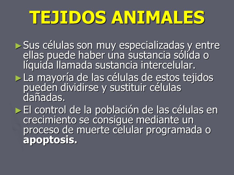 TEJIDOS ANIMALES Sus células son muy especializadas y entre ellas puede haber una sustancia sólida o líquida llamada sustancia intercelular.