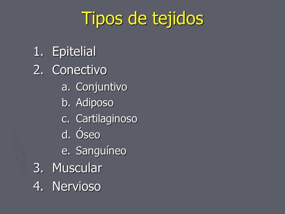 Tipos de tejidos Epitelial Conectivo Muscular Nervioso Conjuntivo