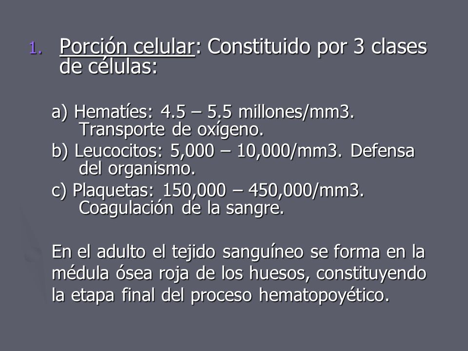 Porción celular: Constituido por 3 clases de células: