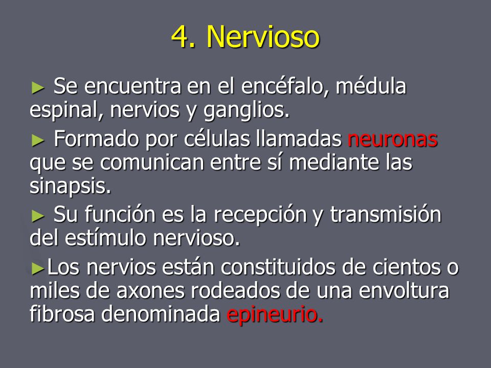 4. Nervioso Se encuentra en el encéfalo, médula espinal, nervios y ganglios.