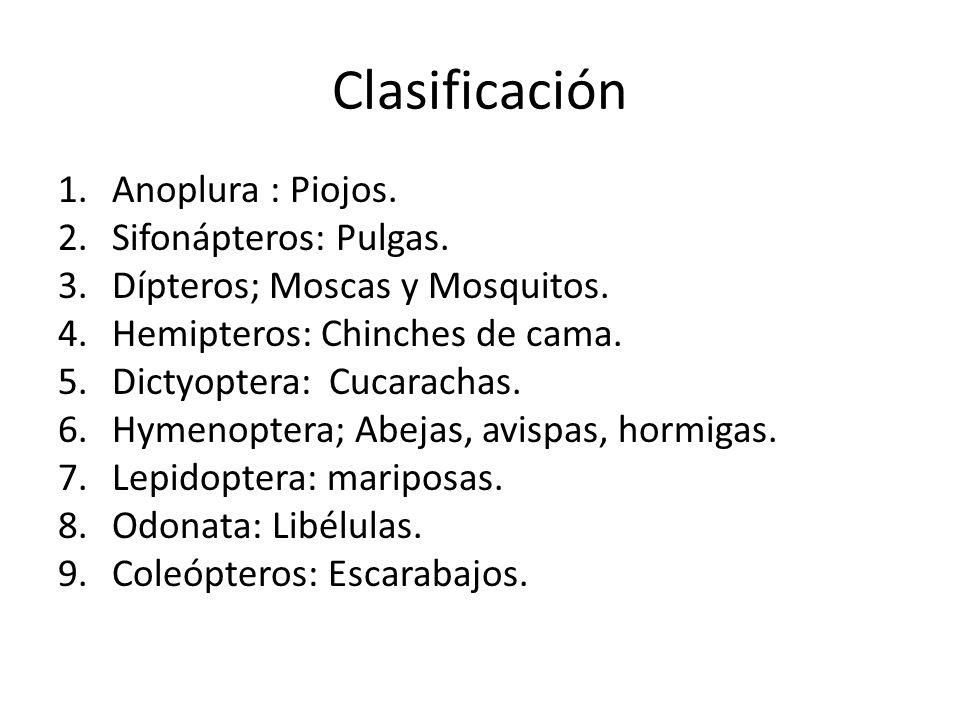 Clasificación Anoplura : Piojos. Sifonápteros: Pulgas.
