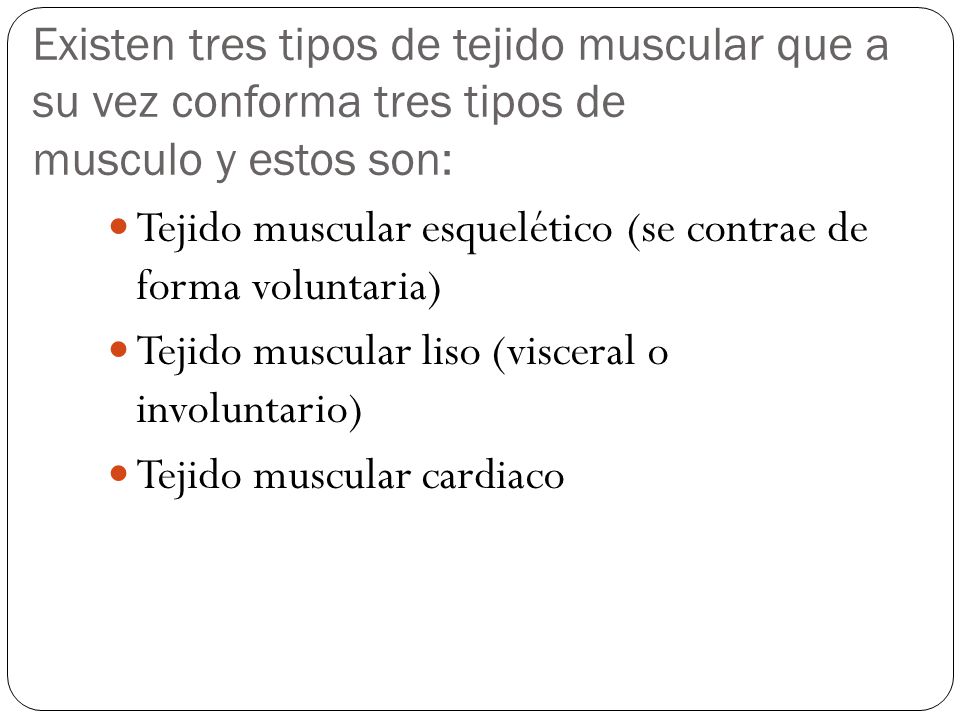 Existen tres tipos de tejido muscular que a su vez conforma tres tipos de musculo y estos son: