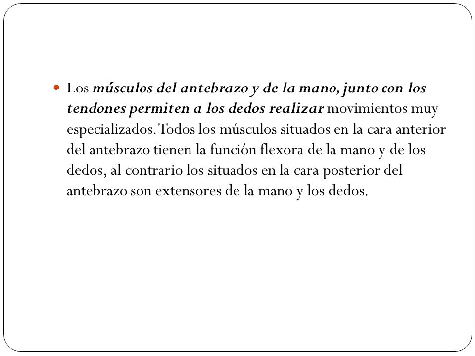 Los músculos del antebrazo y de la mano, junto con los tendones permiten a los dedos realizar movimientos muy especializados.