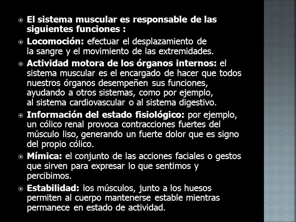El sistema muscular es responsable de las siguientes funciones :