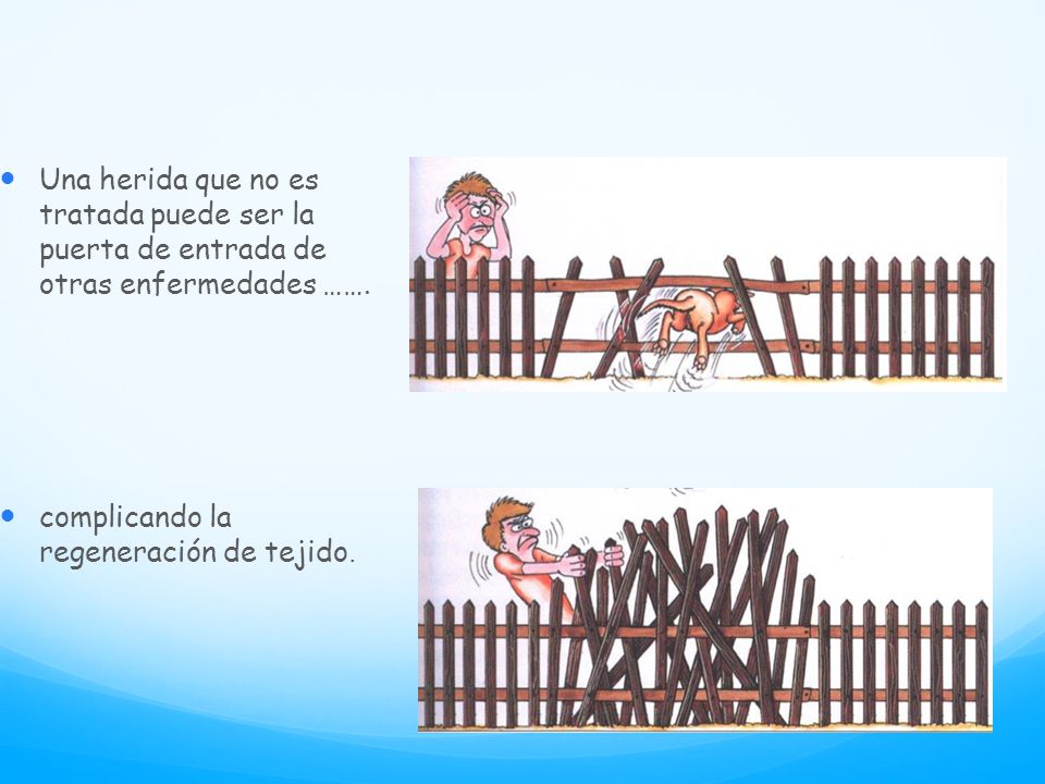 Una herida que no es tratada puede ser la puerta de entrada de otras enfermedades …….