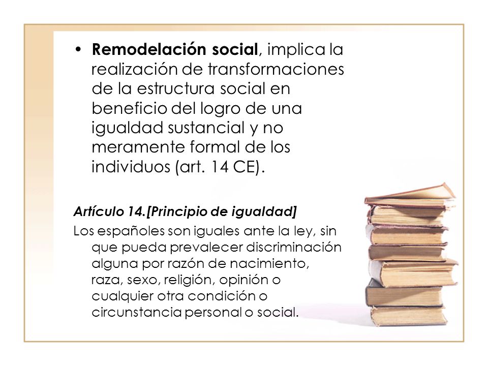 Remodelación social, implica la realización de transformaciones de la estructura social en beneficio del logro de una igualdad sustancial y no meramente formal de los individuos (art. 14 CE).
