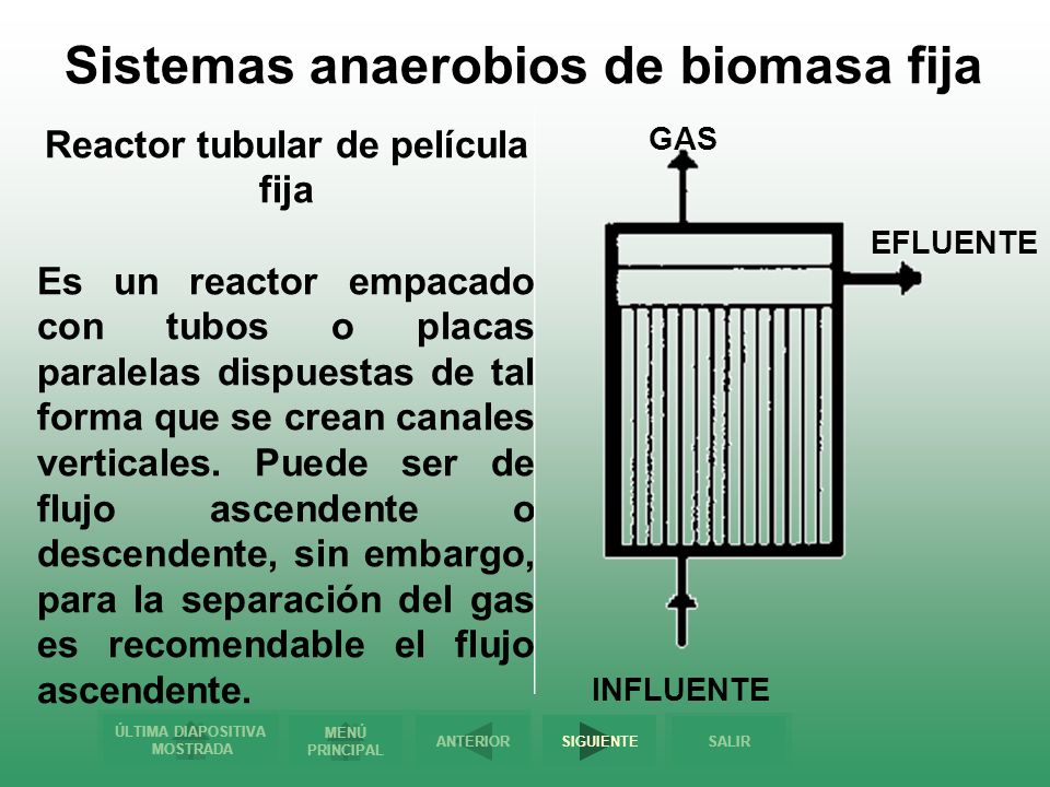 Sistemas anaerobios de biomasa fija Reactor tubular de película fija