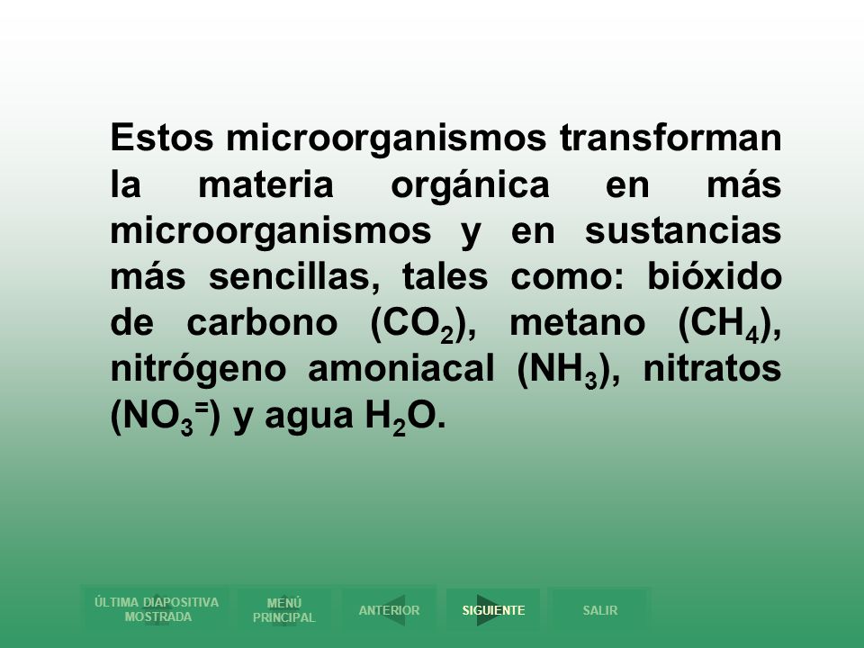 Estos microorganismos transforman la materia orgánica en más microorganismos y en sustancias más sencillas, tales como: bióxido de carbono (CO2), metano (CH4), nitrógeno amoniacal (NH3), nitratos (NO3=) y agua H2O.