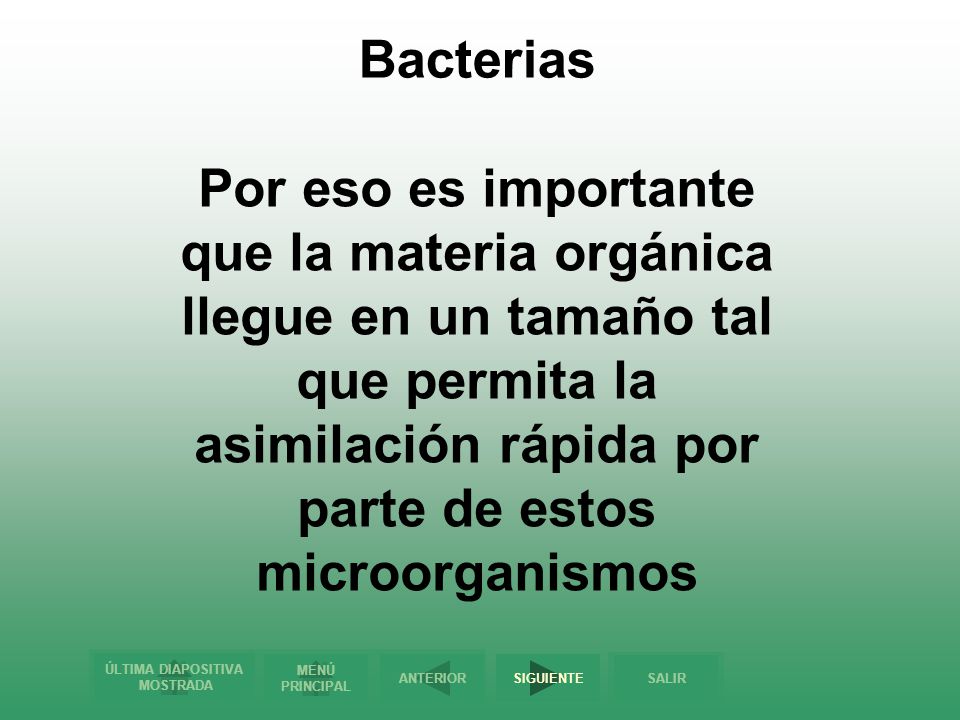 Bacterias Por eso es importante que la materia orgánica llegue en un tamaño tal que permita la asimilación rápida por parte de estos microorganismos.