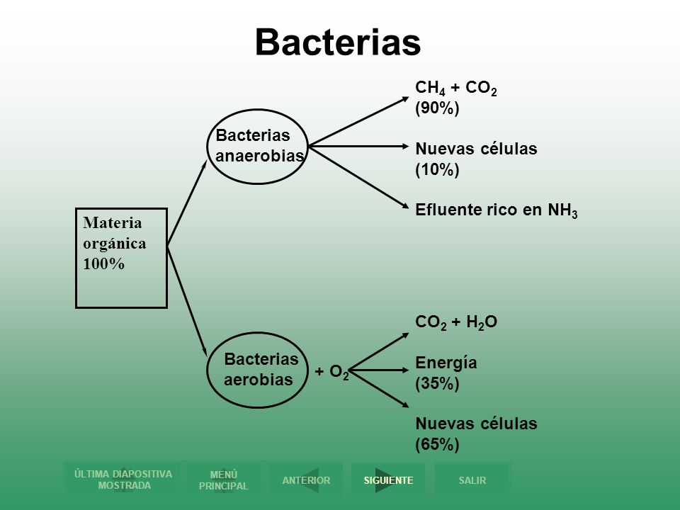 Bacterias CH4 + CO2 (90%) Nuevas células (10%) Bacterias anaerobias