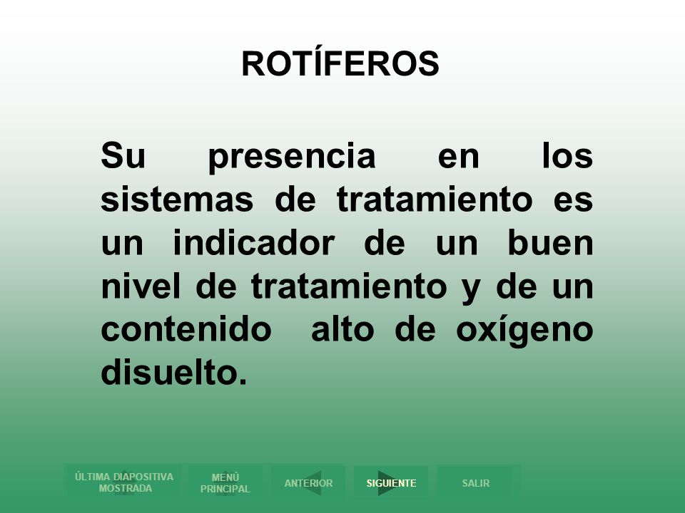 ROTÍFEROS Su presencia en los sistemas de tratamiento es un indicador de un buen nivel de tratamiento y de un contenido alto de oxígeno disuelto.
