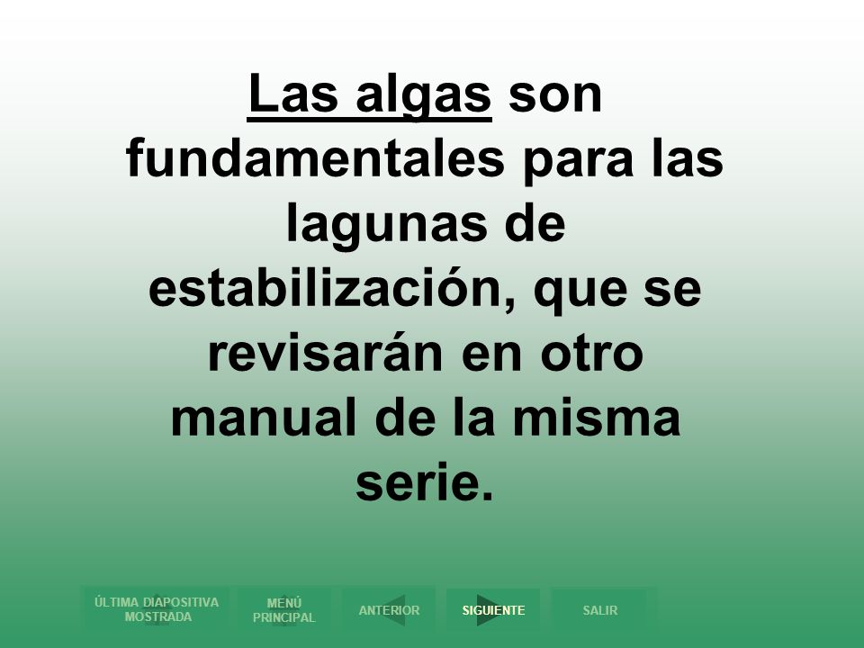 Las algas son fundamentales para las lagunas de estabilización, que se revisarán en otro manual de la misma serie.