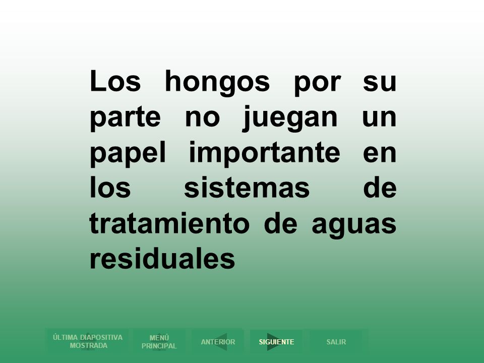 Los hongos por su parte no juegan un papel importante en los sistemas de tratamiento de aguas residuales