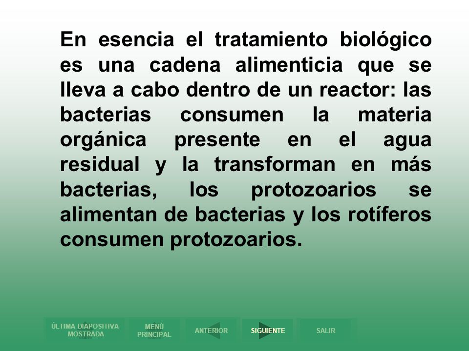 En esencia el tratamiento biológico es una cadena alimenticia que se lleva a cabo dentro de un reactor: las bacterias consumen la materia orgánica presente en el agua residual y la transforman en más bacterias, los protozoarios se alimentan de bacterias y los rotíferos consumen protozoarios.