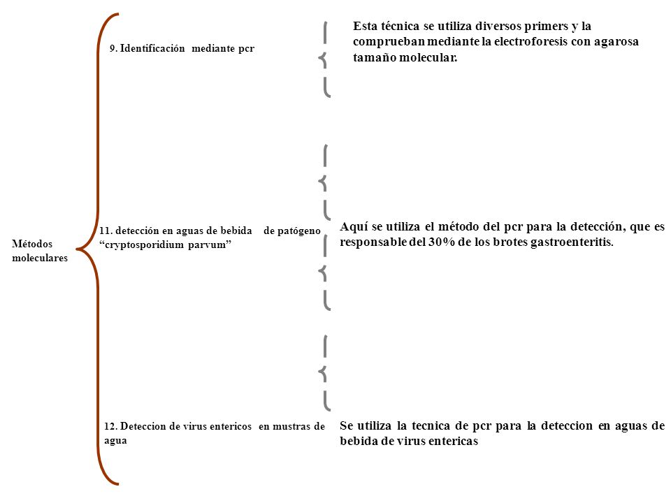 Esta técnica se utiliza diversos primers y la comprueban mediante la electroforesis con agarosa tamaño molecular.