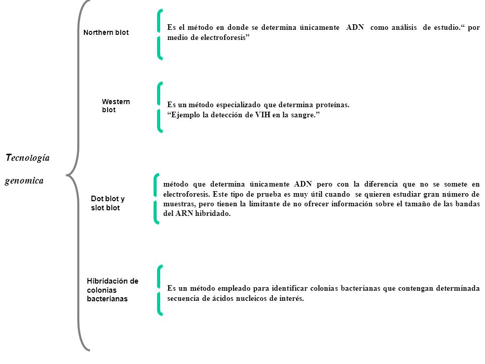 Es el método en donde se determina únicamente ADN como análisis de estudio. por medio de electroforesis