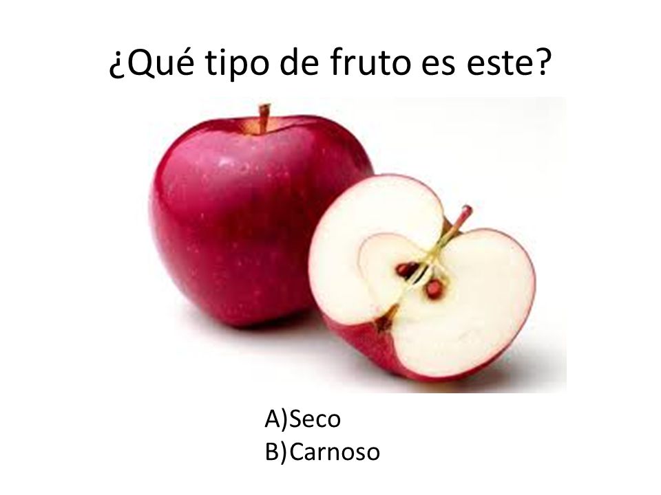 ¿Qué tipo de fruto es este