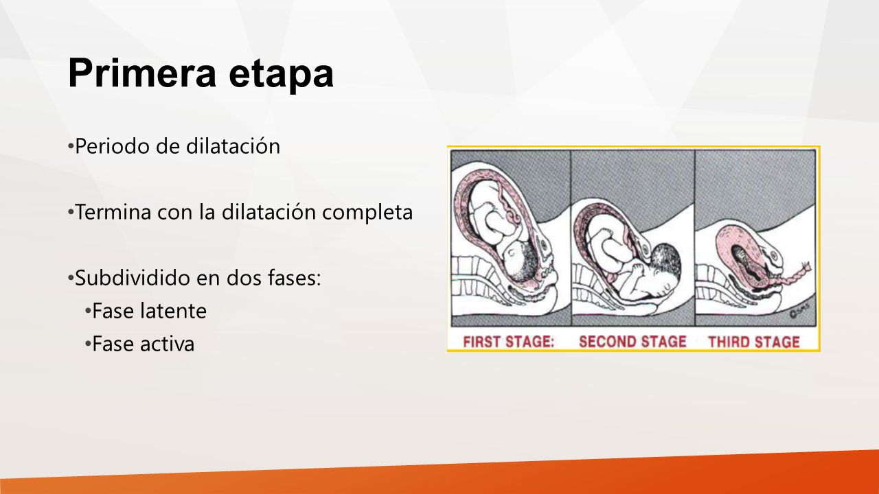 Primera etapa Periodo de dilatación Termina con la dilatación completa
