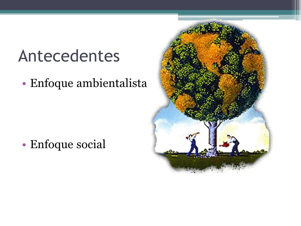 Antecedentes Enfoque ambientalista Enfoque social