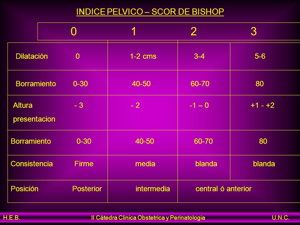 INDICE PELVICO – SCOR DE BISHOP