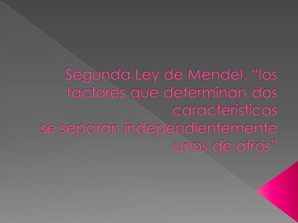 Segunda Ley de Mendel, los factores que determinan dos características se separan independientemente unos de otros