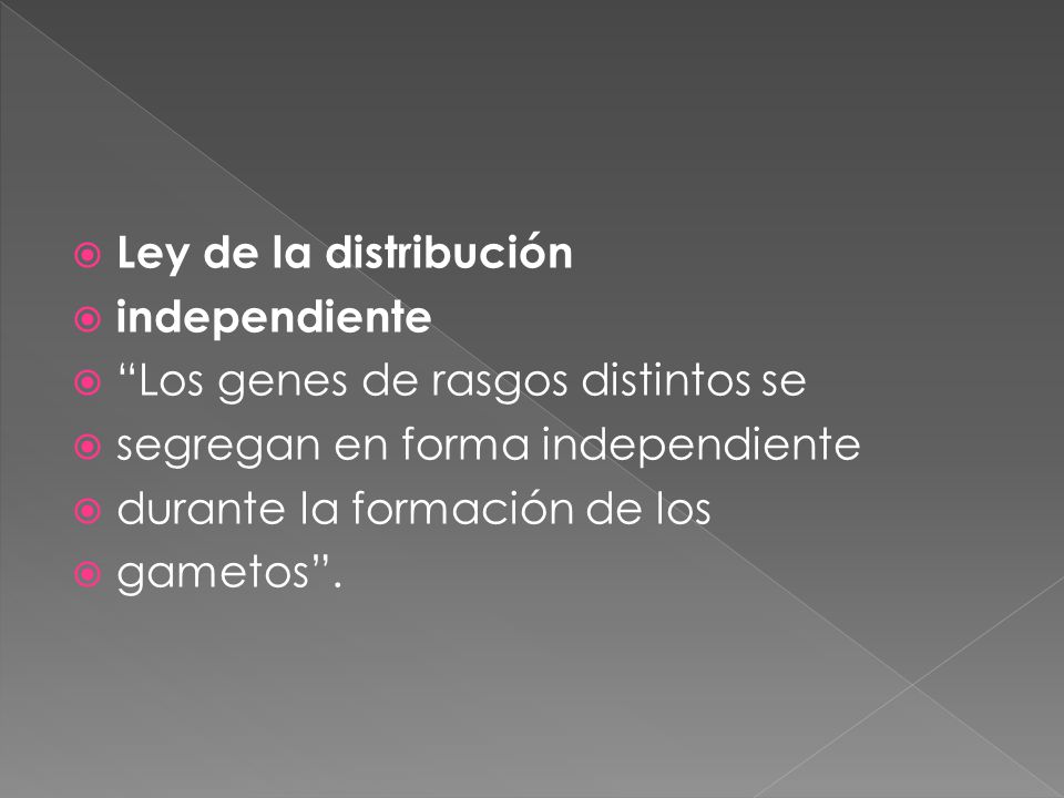 Ley de la distribución independiente. Los genes de rasgos distintos se. segregan en forma independiente.