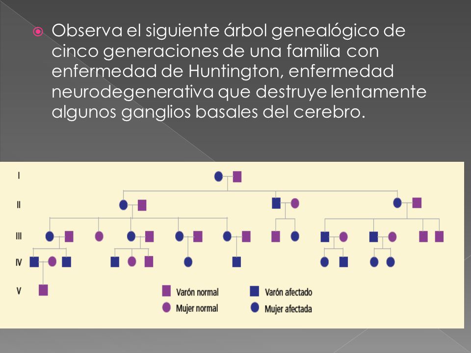 Observa el siguiente árbol genealógico de cinco generaciones de una familia con enfermedad de Huntington, enfermedad neurodegenerativa que destruye lentamente algunos ganglios basales del cerebro.