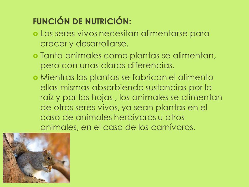 FUNCIÓN DE NUTRICIÓN: Los seres vivos necesitan alimentarse para crecer y desarrollarse.