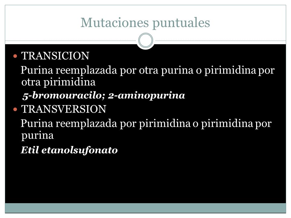 Mutaciones puntuales TRANSICION