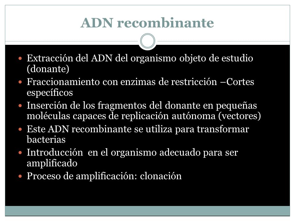 ADN recombinante Extracción del ADN del organismo objeto de estudio (donante) Fraccionamiento con enzimas de restricción –Cortes específicos.