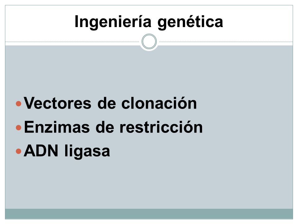 Ingeniería genética Vectores de clonación Enzimas de restricción ADN ligasa