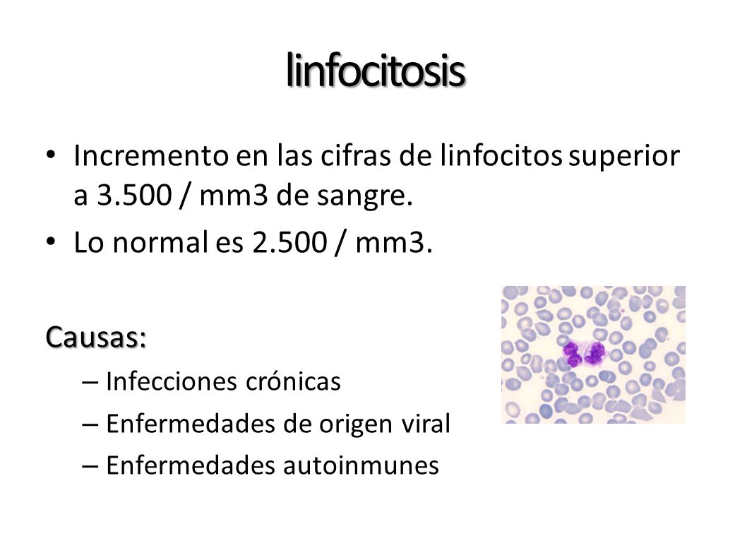 linfocitosis Incremento en las cifras de linfocitos superior a / mm3 de sangre. Lo normal es / mm3.